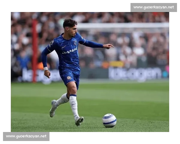 帕尔梅拉斯瞄准恩西索：赫尔泽勒明确将其排除出布莱顿计划